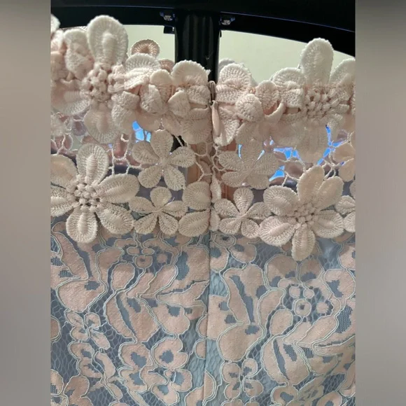 Elegant Floral Lace Dress with Sheer Hem and Flower Appliqué Details - Picture 4 of 6
